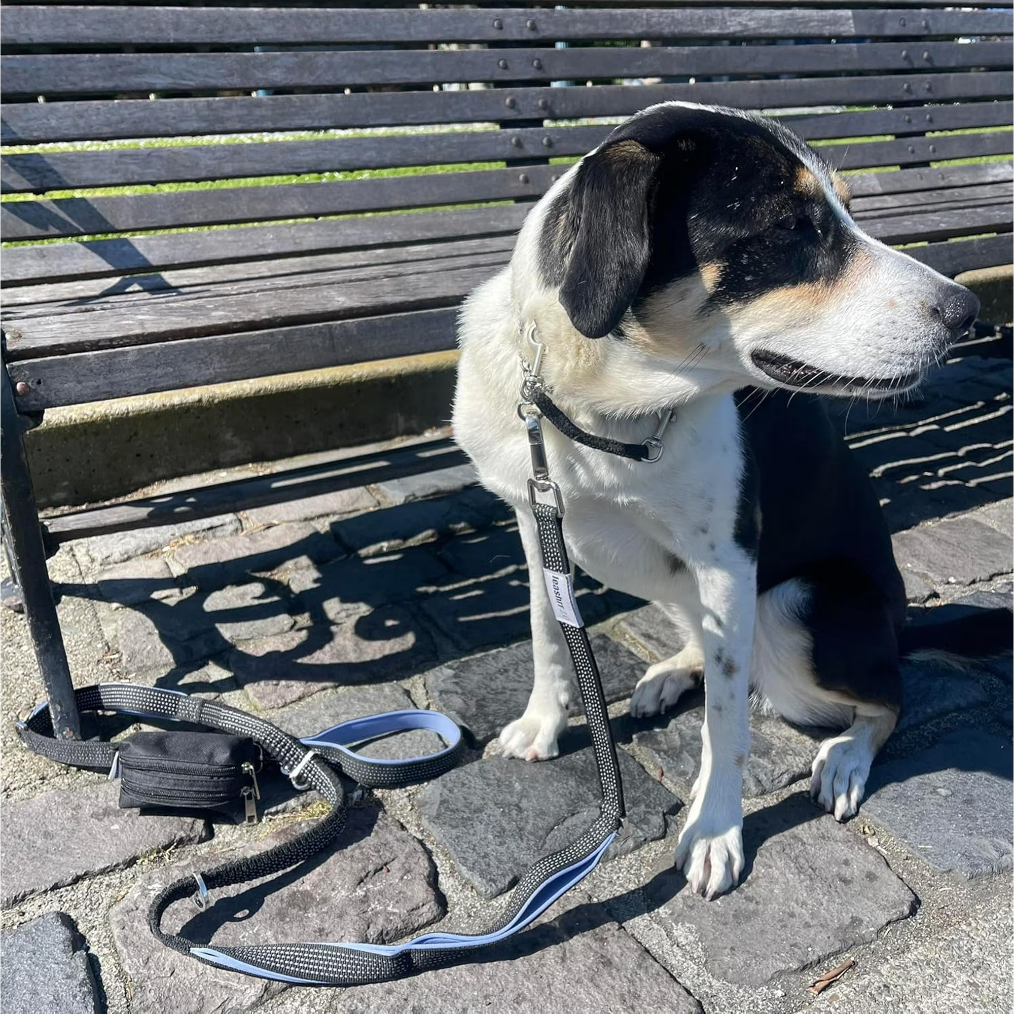Leashrr 2.0 Dog Poop Bag Dispenser & Treat Holder