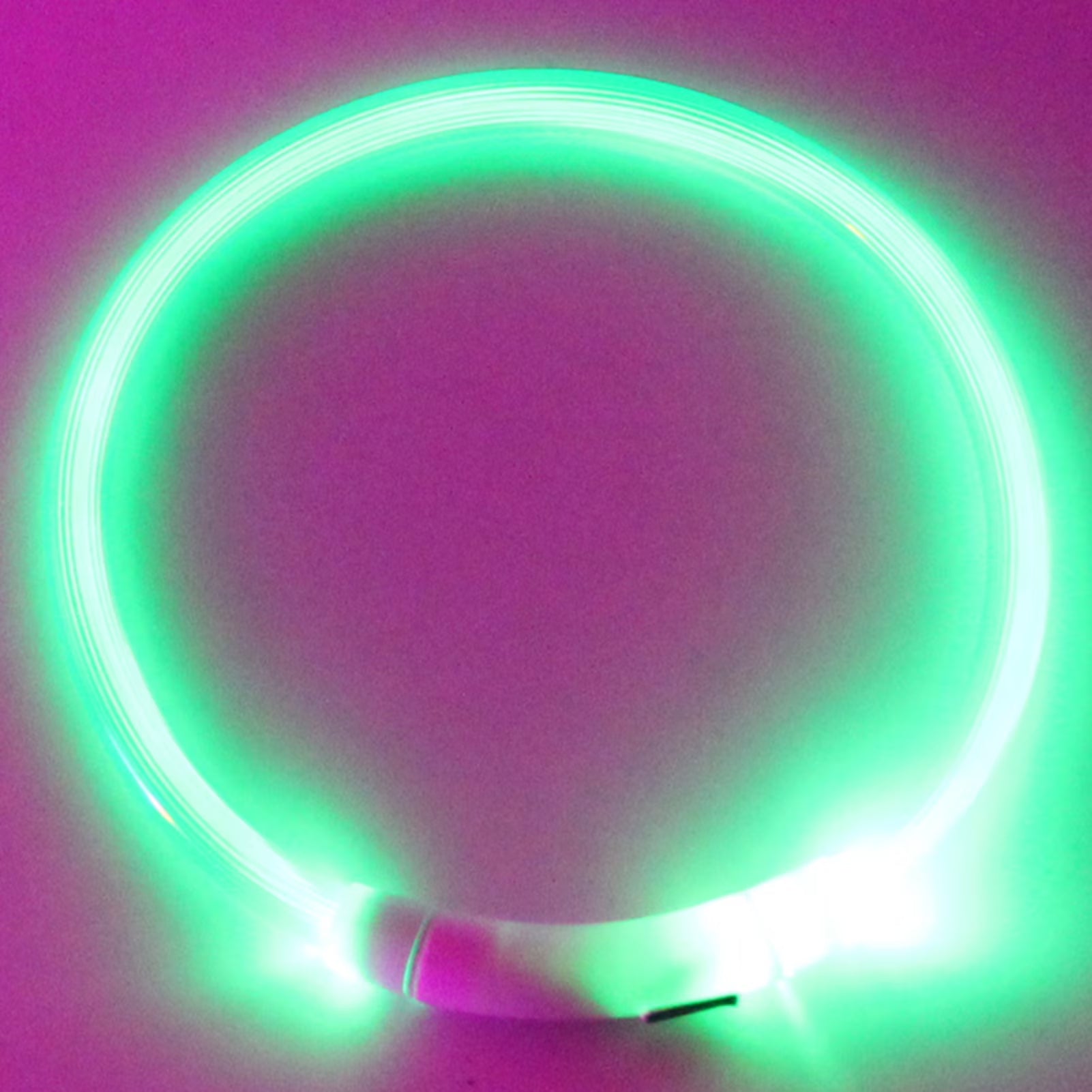 Walbest USB Rechargeable LED Dog Collar Light – Green 70cm