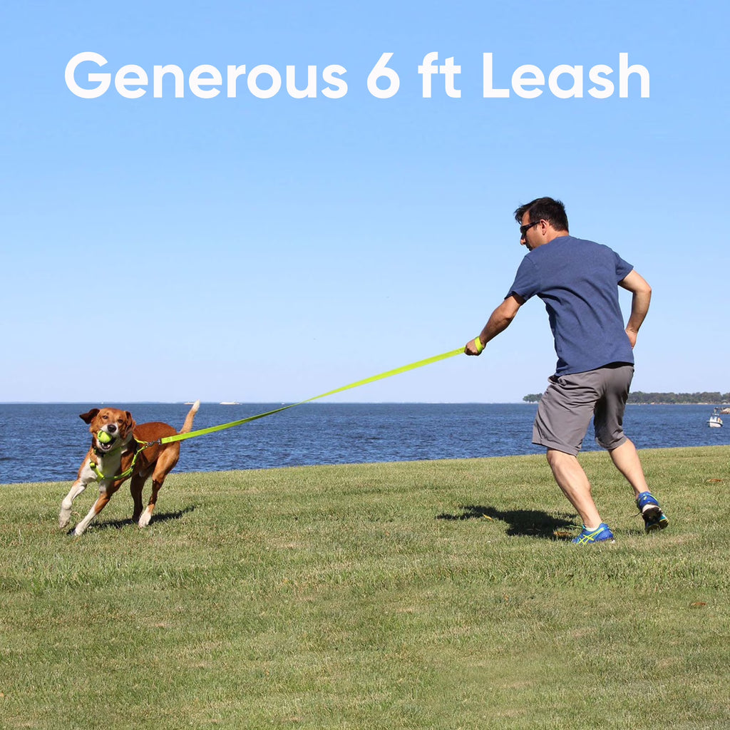 Pawtitas 6 FT Reflective Dog Leash – Green