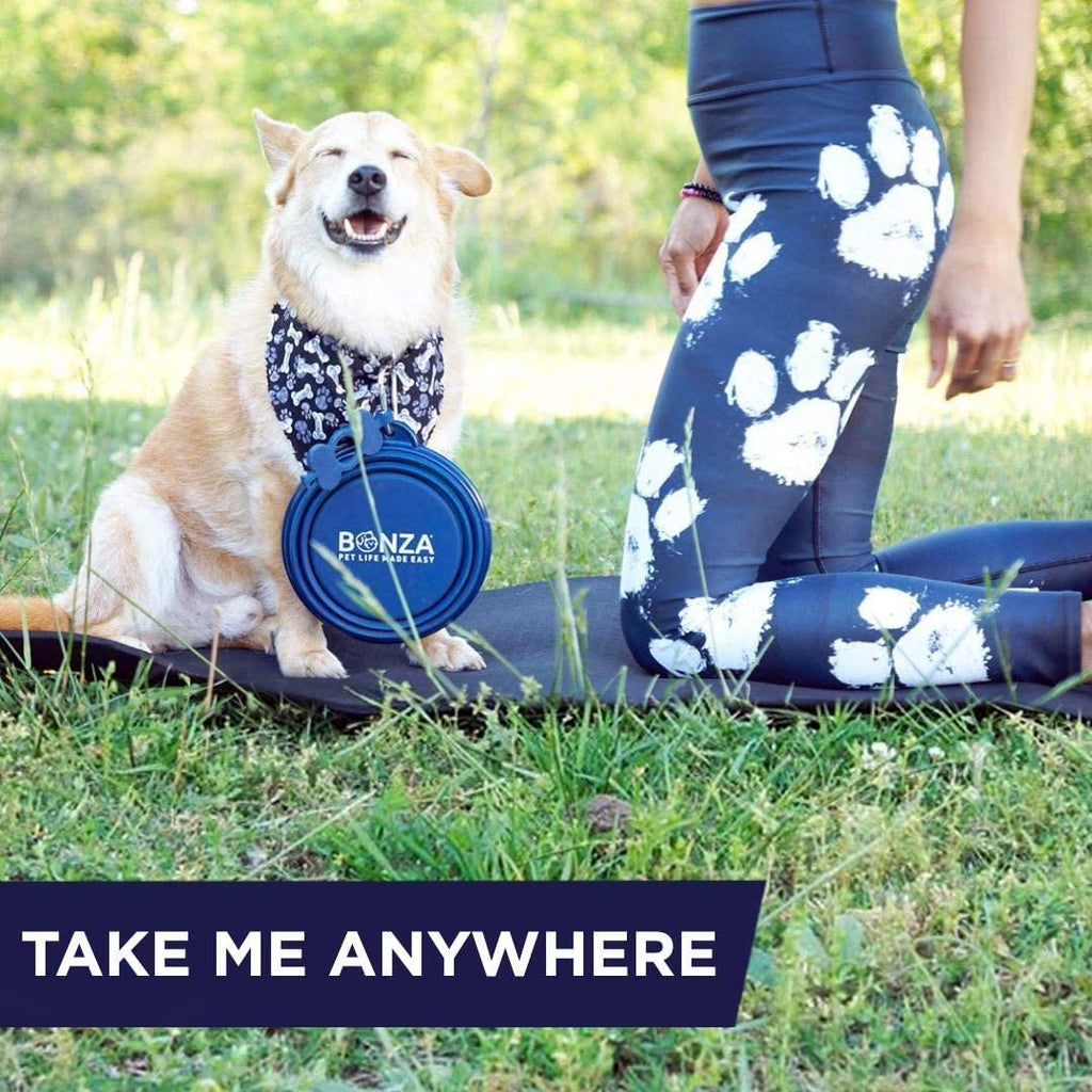 Bonza Collapsible Silicone Dog Bowl – Extra Large